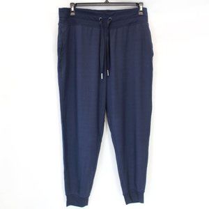 Athleta Plus Soft Navy Blue Balance Jogger Pants 3X